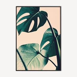 Monstera Poster - Botanische Muurdecoratie