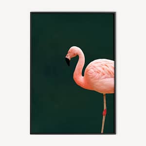 flamingo poster en canvas print