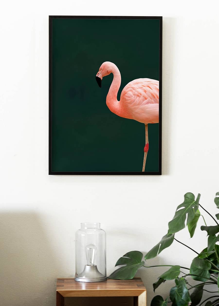 Flamingo groene poster