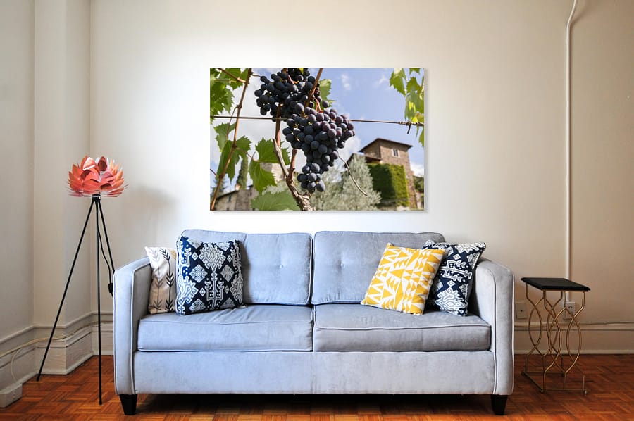 Tussen de Toscaanse Druivenranken Poster - Natuur Wanddecoratie