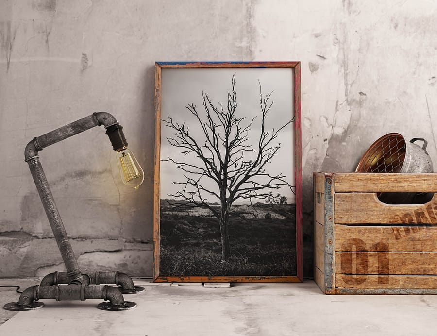 Lonely Tree - Zwart-Wit Natuur Poster en Canvas Print