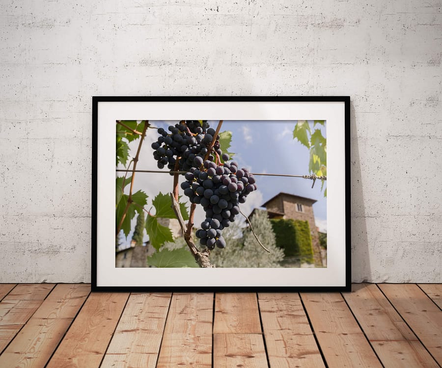 Tussen de Toscaanse Druivenranken Poster