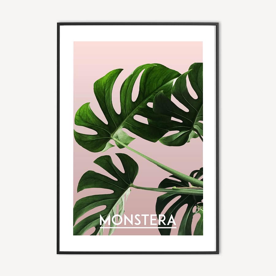 Monstera Poster - Trendy Botanische Poster