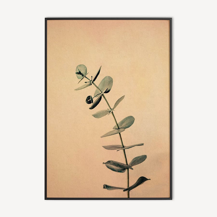 Eucalyptus Botanische Poster en Canvas Print